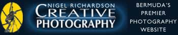 Creative Photography - Bermuda's Premier Website