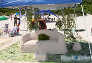 Bermuda Sand Sculpture Competition - Set II