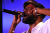 Beres Hammond Concert II
